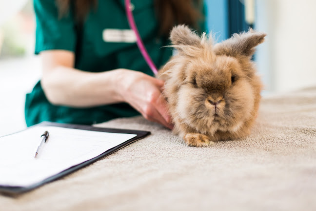Reviews of Priory Vets in Aberystwyth - Veterinarian