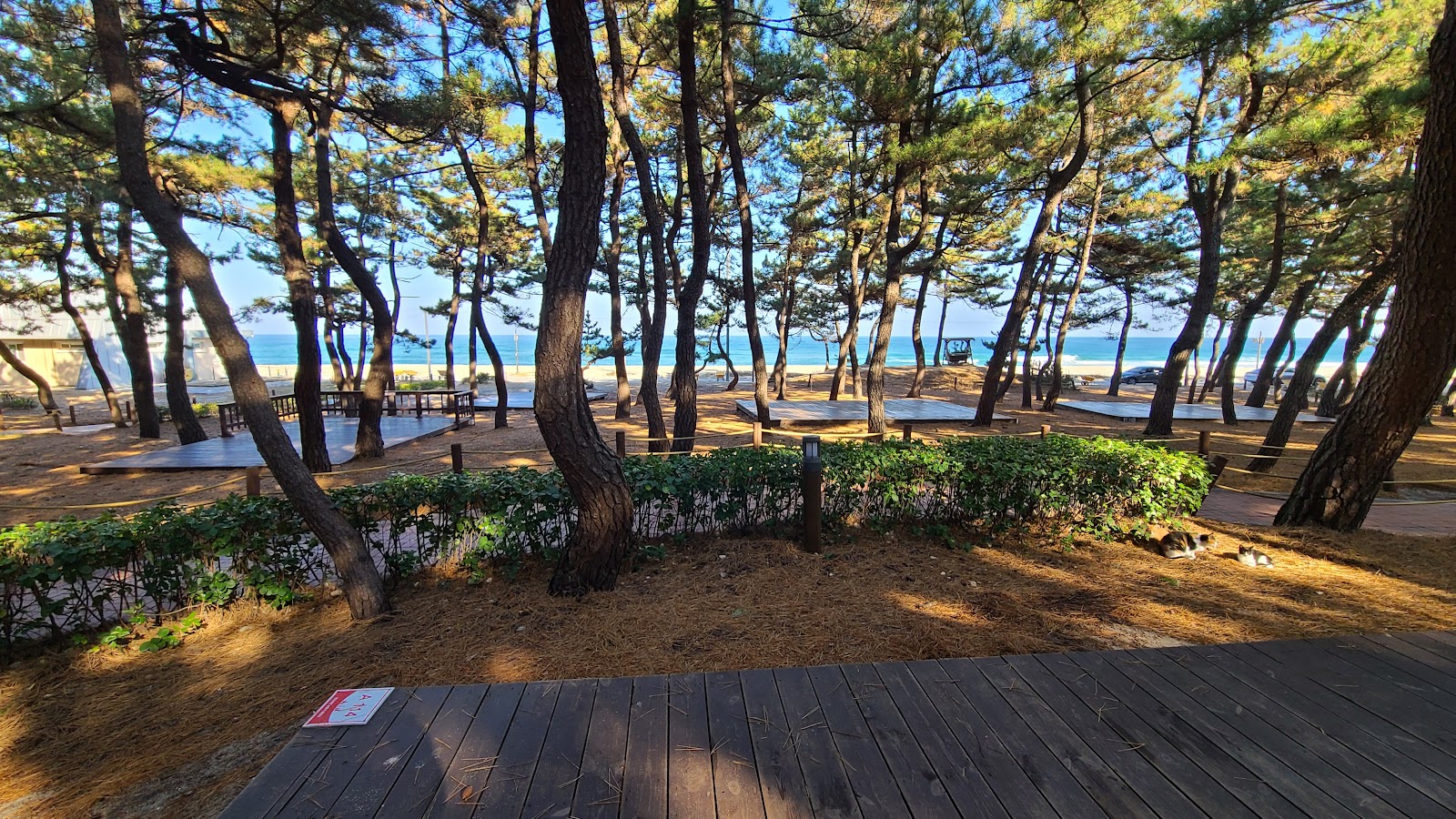 Yeongok Beach photo #7
