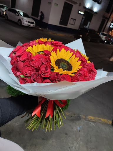 Floreria gamboa – Tepic