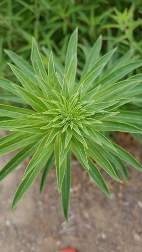 Park «Ernest E. Debs Regional Park», reviews and photos, 4235 Monterey Rd, Los Angeles, CA 90032, USA