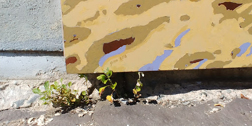 Tourist Attraction «Dinosaur Footprints», reviews and photos, US-5, Holyoke, MA 01040, USA