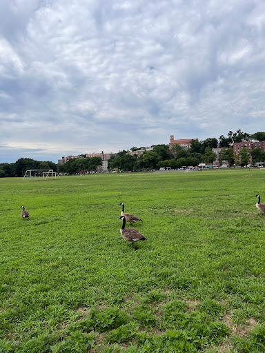 Park «Friends of Van Cortlandt Park», reviews and photos, 80 Van Cortlandt Park S, Bronx, NY 10463, USA