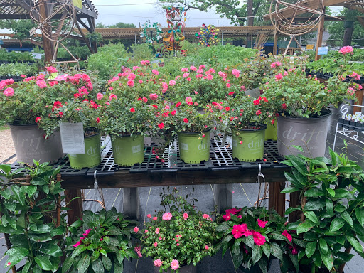 Animal Feed Store «Wabash Feed & Garden Store», reviews and photos, 4537 N Shepherd Dr, Houston, TX 77018, USA