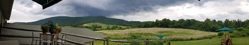 Vineyard «Glen Manor Vineyards», reviews and photos, 2244 Browntown Rd, Front Royal, VA 22630, USA