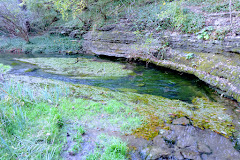 McConnell Springs