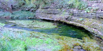 McConnell Springs