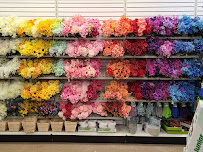 Dollar Tree - Photo 9 - Car repair in Fredericksburg, VA, Fredericksburg