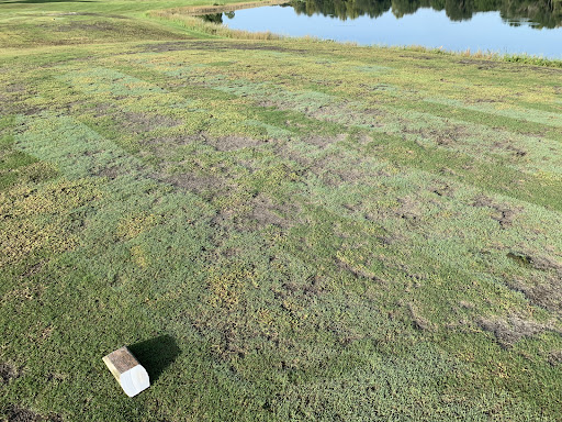 Golf Course «Harmony Golf Preserve», reviews and photos, 7252 5 Oaks Dr, St Cloud, FL 34773, USA