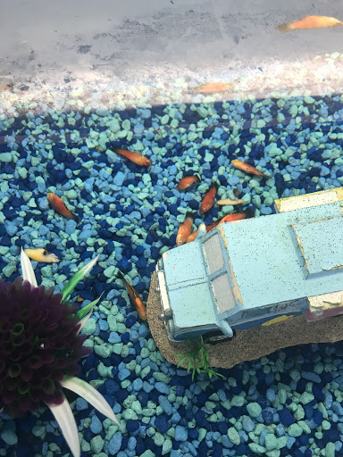 Pet Supply Store «PetSmart», reviews and photos, 9921 Pulaski Hwy, Baltimore, MD 21220, USA