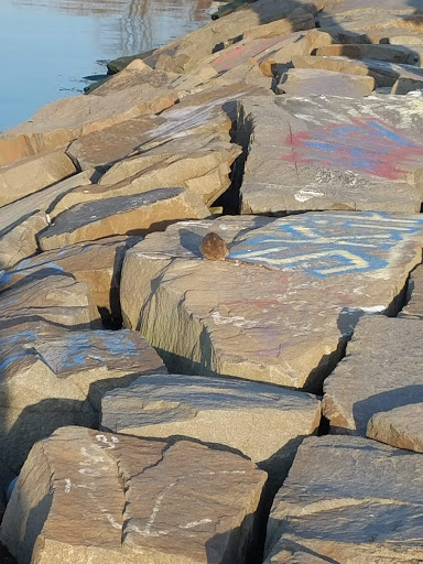 Park «Little Bay Park», reviews and photos, Cross Island Pkwy, Whitestone, NY 11357, USA