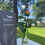 Photo n°1 de l'avis de Konrad.i fait le 18/07/2022 à 11:02 sur le  Restaurant Bodano à Bodman-Ludwigshafen