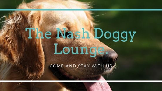The Nash Doggy Lounge