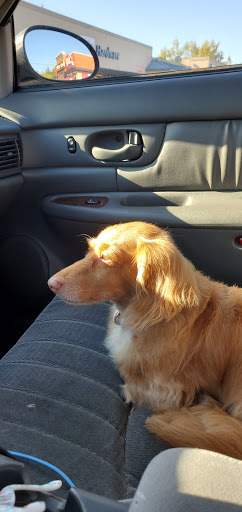 Pet Store «Pet Town», reviews and photos, 51 WA-300, Belfair, WA 98528, USA