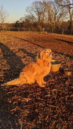 Pet Store «Pet Food Discounters», reviews and photos, 607 Woodbrook Dr, Charlottesville, VA 22901, USA