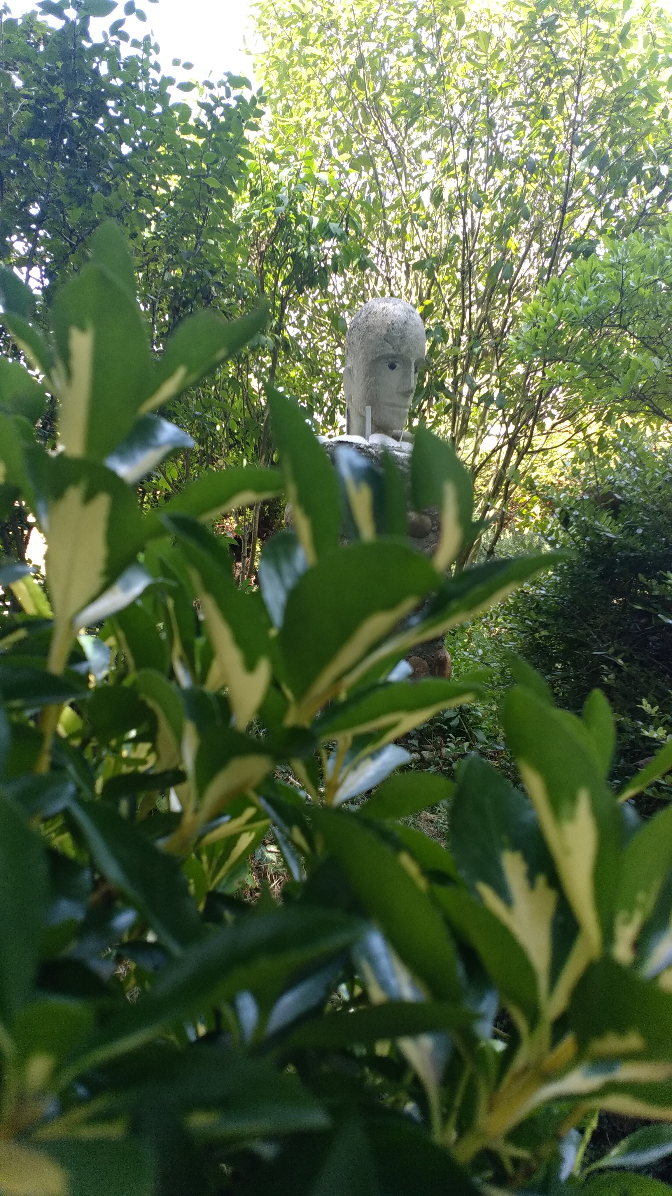 Photo n° 2 de l'avis de Jason.o fait le 17/07/2019 à 22:08