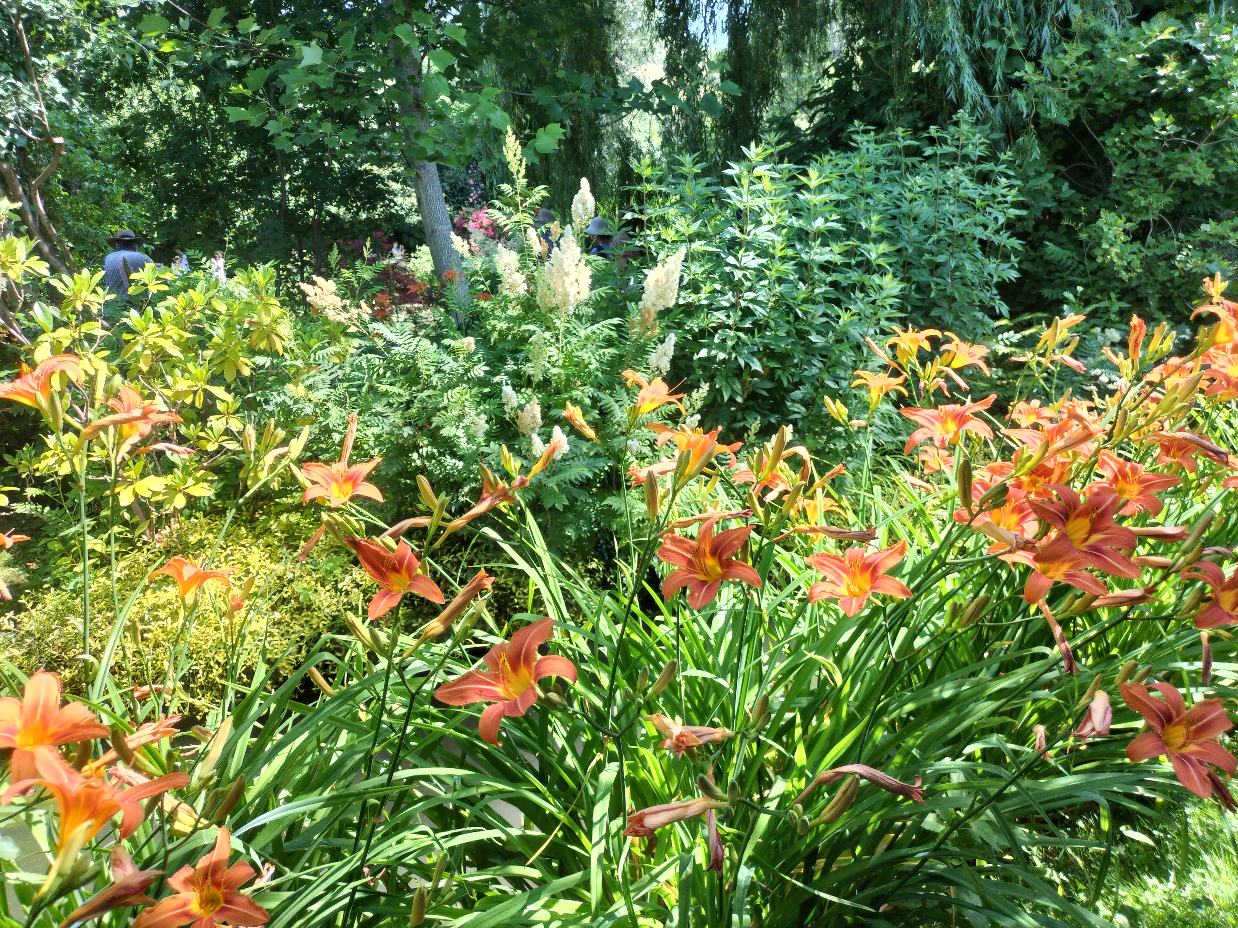 Photo n° 42 de l'avis de didier.e fait le 15/06/2023 à 13:38