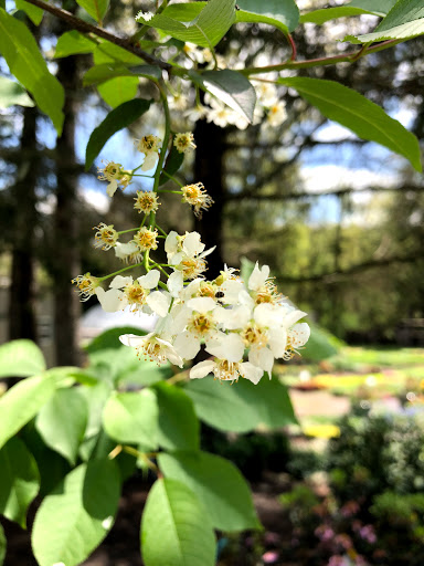 Garden Center «Stonewall Garden Center», reviews and photos, 4675 PA-447, Canadensis, PA 18325, USA