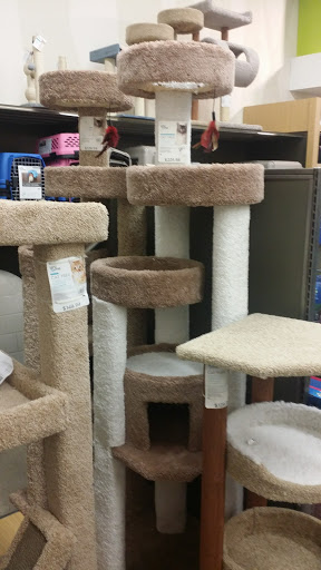 Pet Supply Store «Petco Animal Supplies», reviews and photos, 5994 Montana Ave, El Paso, TX 79925, USA