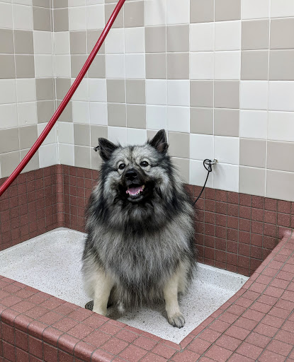 Pet Supply Store «Pet Food Express», reviews and photos, 2158 Contra Costa Blvd, Pleasant Hill, CA 94523, USA