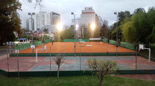 Clases de tenis, Canchas de Tenis. Tenis Fans