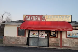 Sakura image