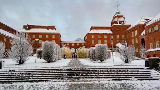 Private schools arranged in Stockholm