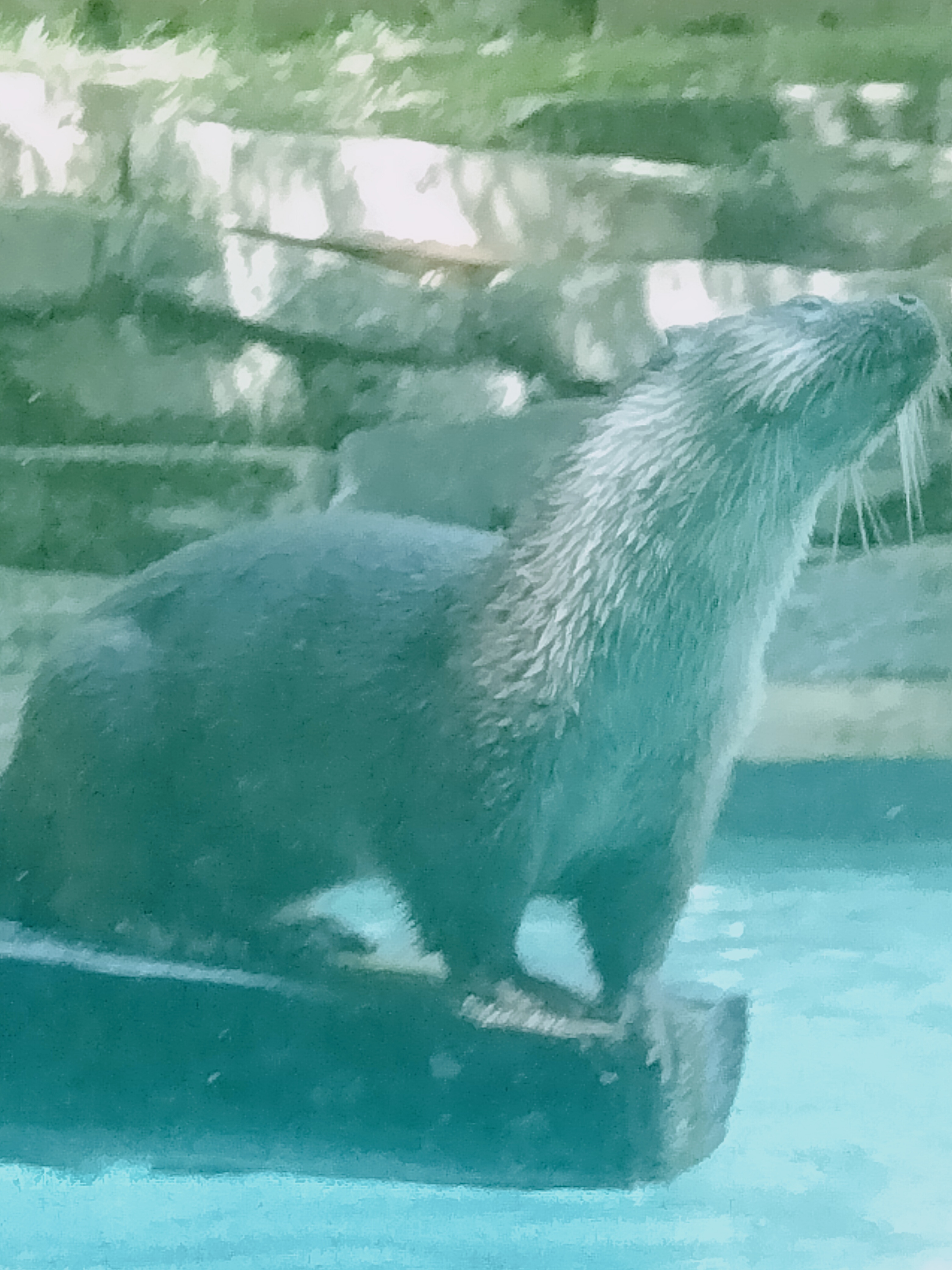 Photo n° 3 de l'avis de Aurélie.e fait le 14/07/2023 à 18:20