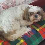 Photo n°1 de l'avis de Pascal.o fait le 26/08/2022 à 22:02 sur le  Hotel Victoria Torino à Turin