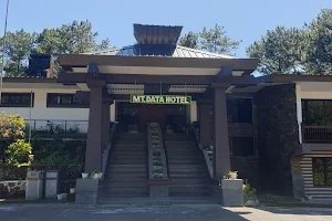 Mount Data Hotel image