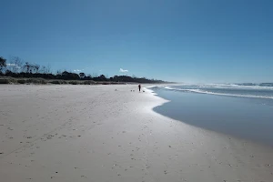 Pottsville Beach image