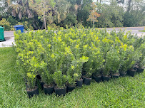 Miramar Nursery, LLC - Photo 5 - Car repair in Miramar, FL, Miramar