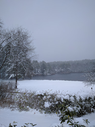 Museum «Dorflinger Glass Museum», reviews and photos, 37 Suydam Dr, White Mills, PA 18473, USA