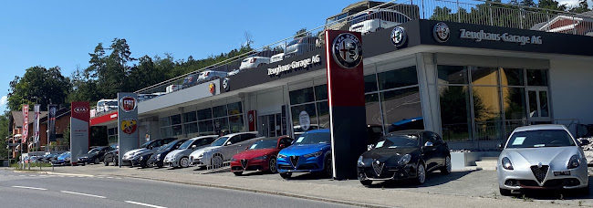 Rezensionen über Zeughaus-Garage AG in Thun - Autohändler