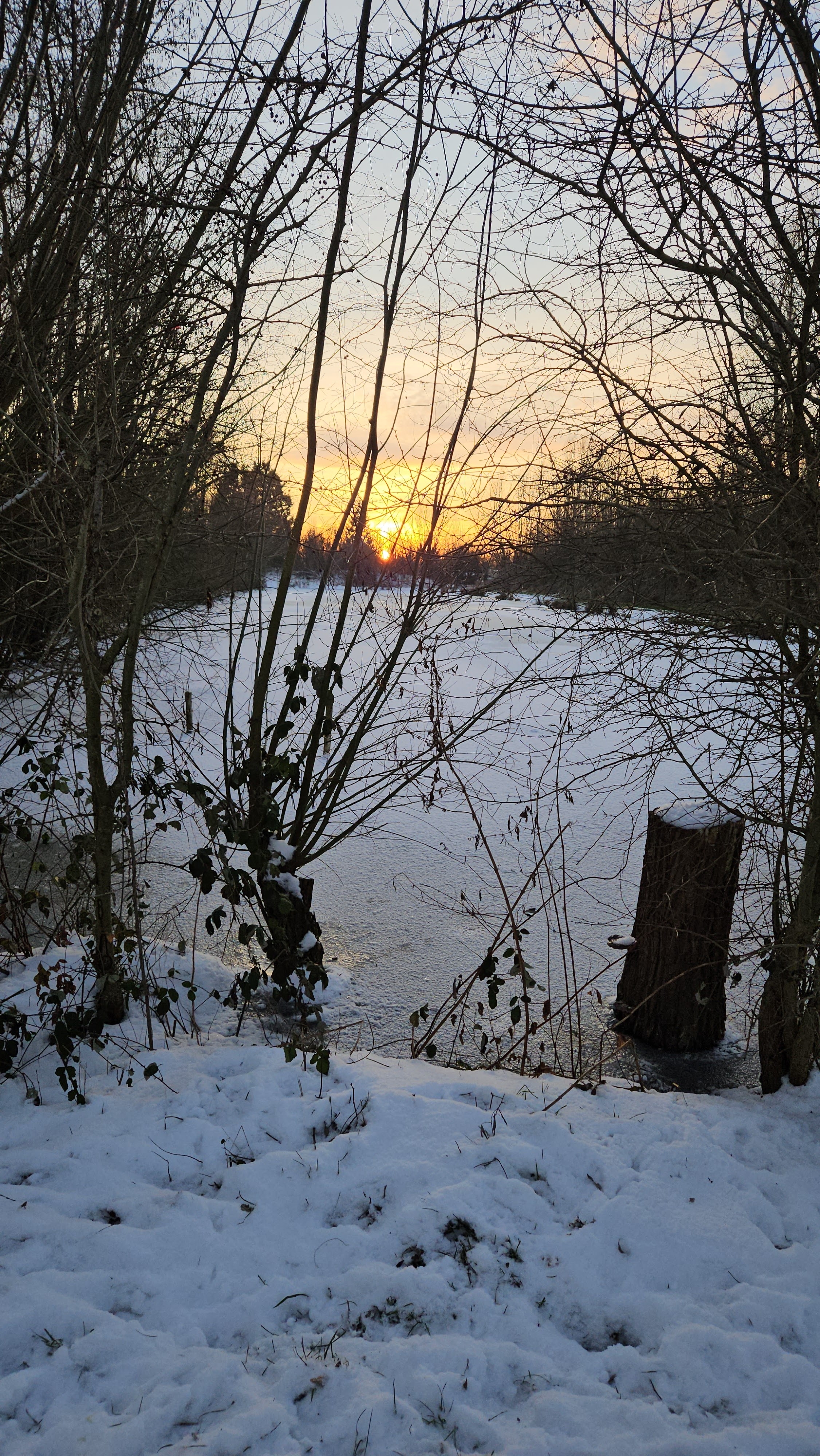 Photo n° 4 de l'avis de Modern.a fait le 24/01/2024 à 20:43