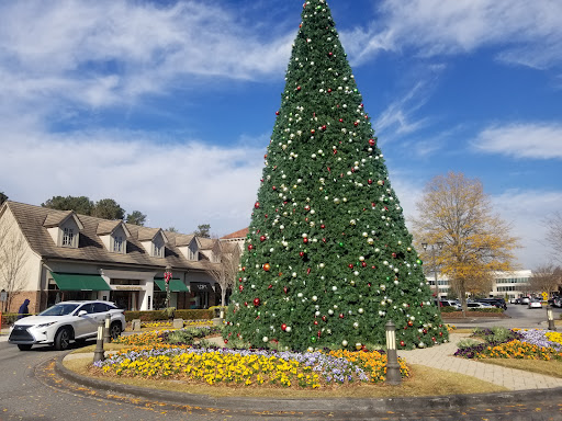 Shopping Mall «The Forum on Peachtree Parkway», reviews and photos, 5155 Peachtree Pkwy, Peachtree Corners, GA 30092, USA