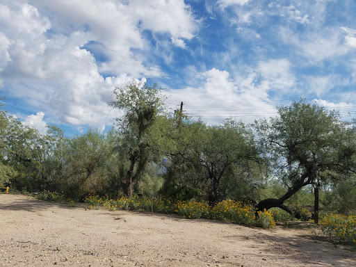 Rillito River Park