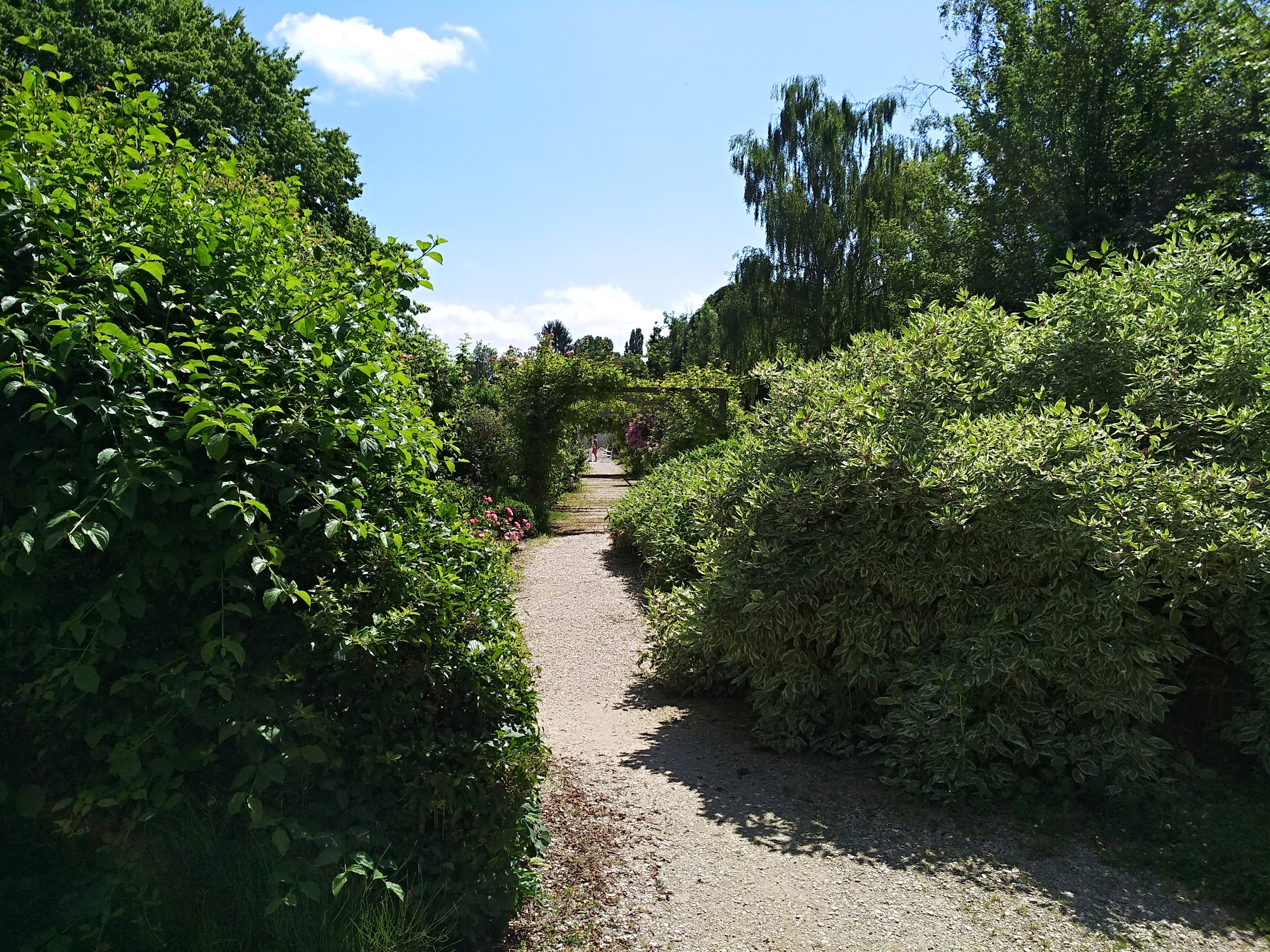 Photo n° 46 de l'avis de Ronald.o fait le 28/06/2018 à 17:08