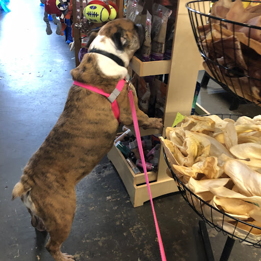 Pet Supply Store «Goin To the Dogs & Cats Pet», reviews and photos, 814 Wellman Ave NE, Huntsville, AL 35801, USA