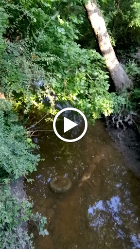 Park «Forney Community Park», reviews and photos, 241 S Farm to Market 548, Forney, TX 75126, USA