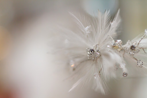 Bridal Shop «Elegant Bride», reviews and photos, 5091 N Fresno St #110, Fresno, CA 93710, USA