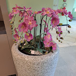 Photo n°10 de l'avis de B... fait le 06/05/2023 à 16:32 sur le  MoselsternParkhotel Krähennest Spa- & Wellness à Löf