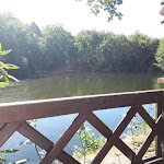 Photo n°1 de l'avis de Christine.a fait le 16/09/2018 à 13:50 sur le  Zum Grünen See Eck à Mühlheim am Main