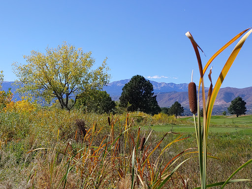 Golf Club «Pine Creek Golf Club», reviews and photos, 9850 Divot Trail, Colorado Springs, CO 80920, USA