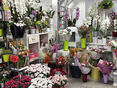 La Jardinerie à Noisy-le-Sec