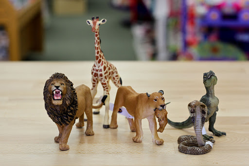 Toy Store «My Special Toy Store», reviews and photos, 5137 Main St, Downers Grove, IL 60515, USA