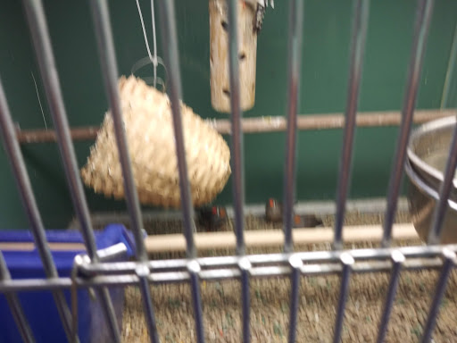 Pet Supply Store «Pet Club Santa Rosa», reviews and photos, 1935 Santa Rosa Ave, Santa Rosa, CA 95407, USA