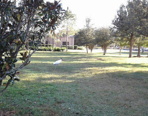 Park «Secret Lake Park», reviews and photos, 200 N Triplet Lake Dr, Casselberry, FL 32707, USA