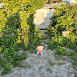 Photo n°4 de l'avis de Nancy.i fait le 23/06/2021 à 17:35 sur le  Haus Windhook à Dierhagen