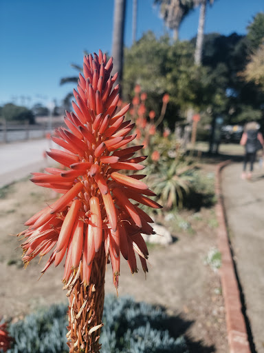 Clothing Store «Patagonia Cardiff-by-The-Sea», reviews and photos, 2185 San Elijo Ave, Cardiff, CA 92007, USA