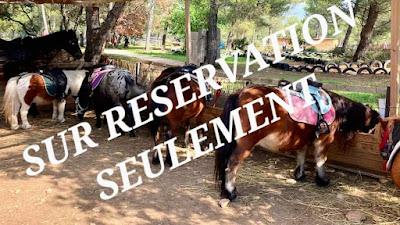 Les Poneys De Provence à Lambesc